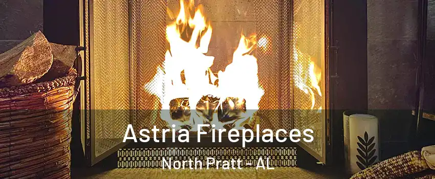 Astria Fireplaces North Pratt - AL