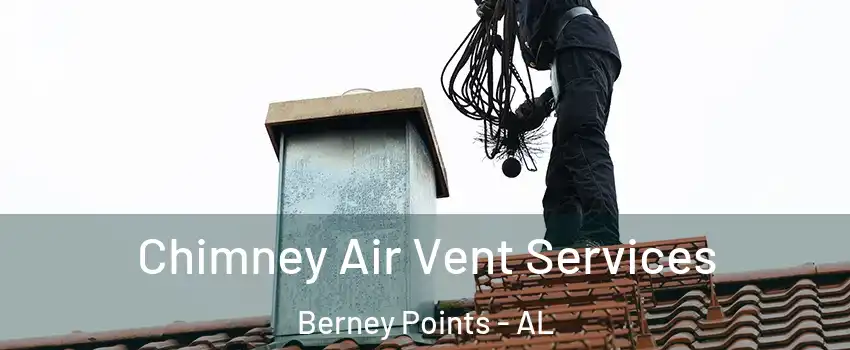 Chimney Air Vent Services Berney Points - AL