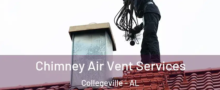 Chimney Air Vent Services Collegeville - AL