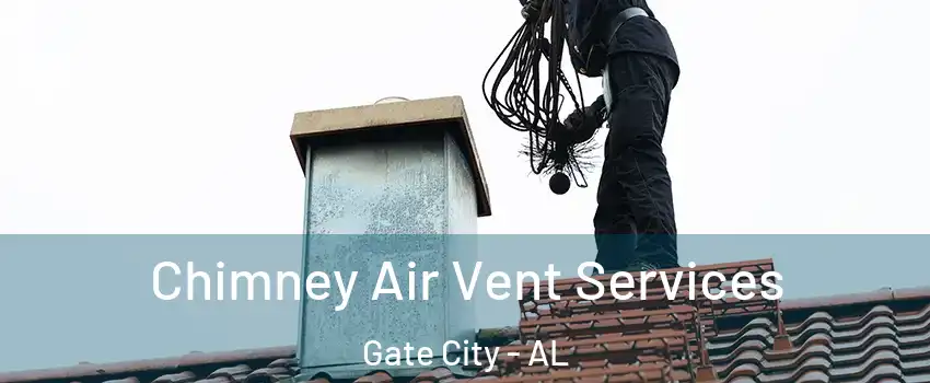 Chimney Air Vent Services Gate City - AL