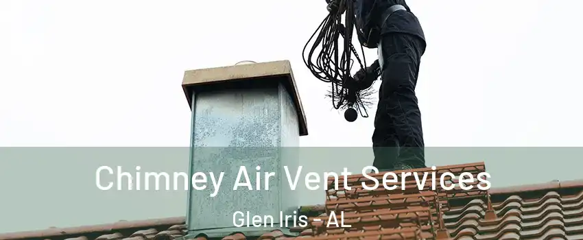 Chimney Air Vent Services Glen Iris - AL