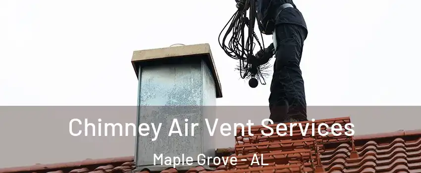 Chimney Air Vent Services Maple Grove - AL