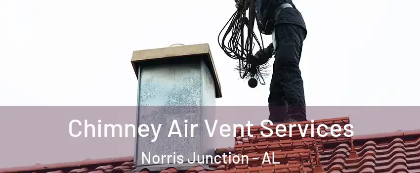 Chimney Air Vent Services Norris Junction - AL