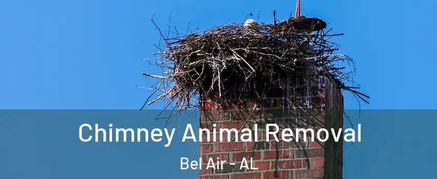 Chimney Animal Removal Bel Air - AL