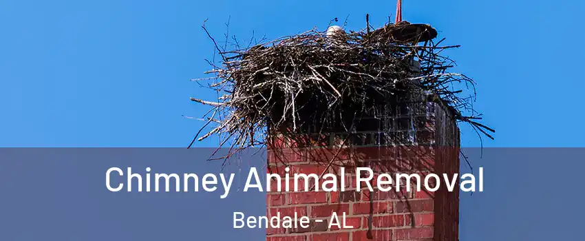 Chimney Animal Removal Bendale - AL