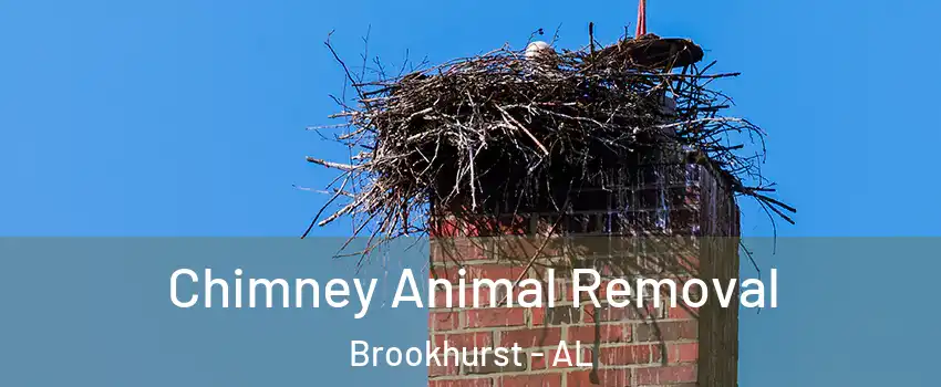 Chimney Animal Removal Brookhurst - AL