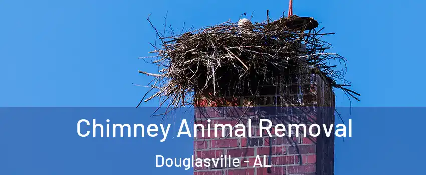 Chimney Animal Removal Douglasville - AL