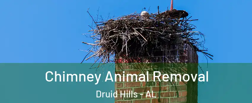 Chimney Animal Removal Druid Hills - AL