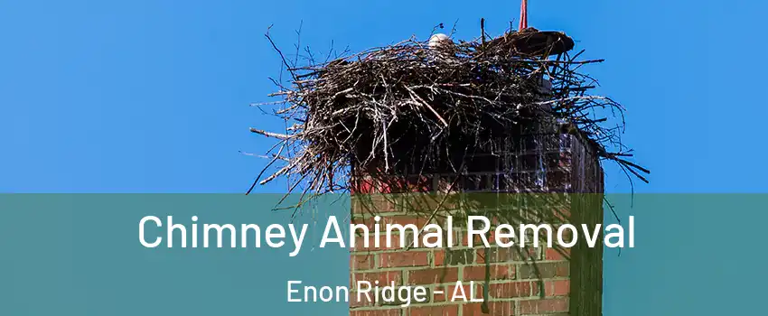 Chimney Animal Removal Enon Ridge - AL