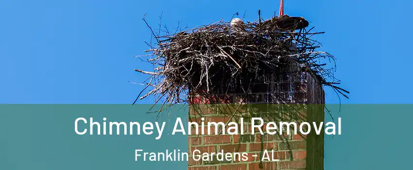 Chimney Animal Removal Franklin Gardens - AL