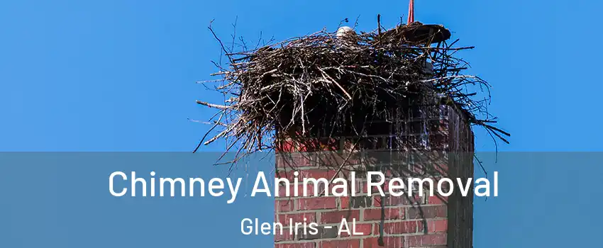 Chimney Animal Removal Glen Iris - AL