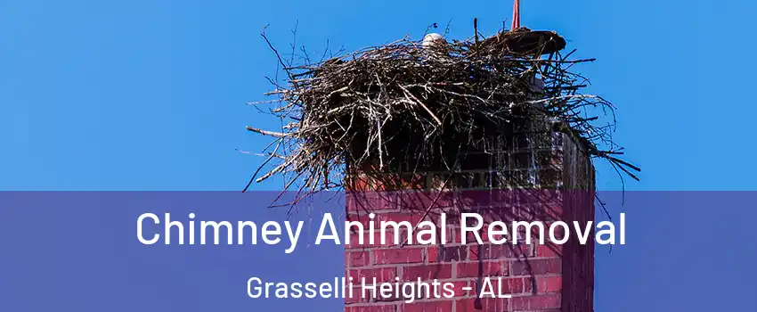 Chimney Animal Removal Grasselli Heights - AL