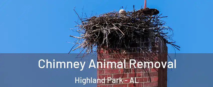 Chimney Animal Removal Highland Park - AL