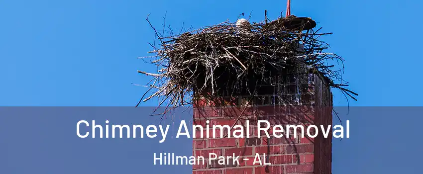 Chimney Animal Removal Hillman Park - AL