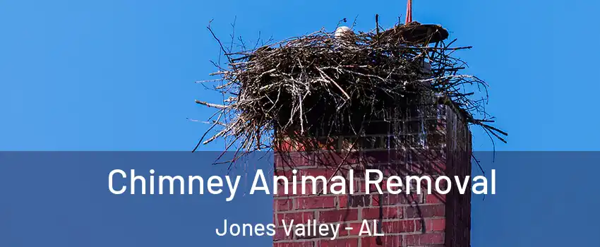 Chimney Animal Removal Jones Valley - AL