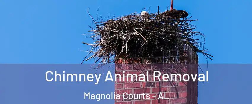 Chimney Animal Removal Magnolia Courts - AL