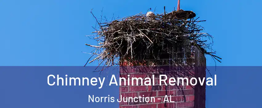 Chimney Animal Removal Norris Junction - AL