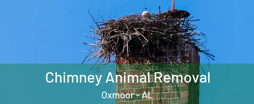 Chimney Animal Removal Oxmoor - AL