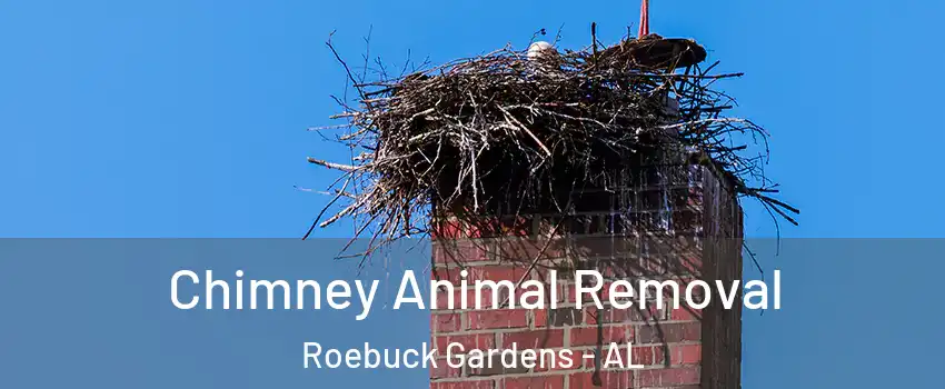 Chimney Animal Removal Roebuck Gardens - AL