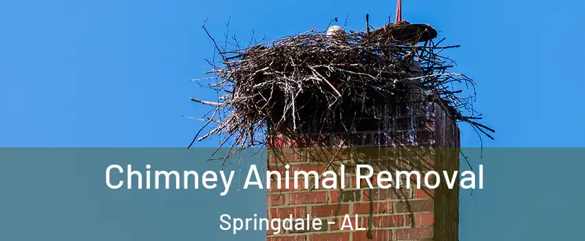 Chimney Animal Removal Springdale - AL