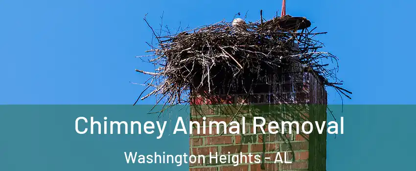 Chimney Animal Removal Washington Heights - AL