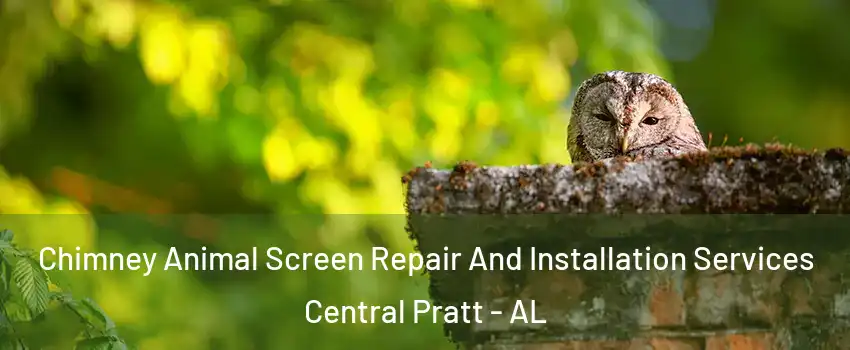 Chimney Animal Screen Repair And Installation Services Central Pratt - AL