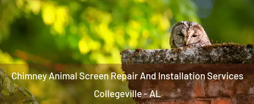 Chimney Animal Screen Repair And Installation Services Collegeville - AL