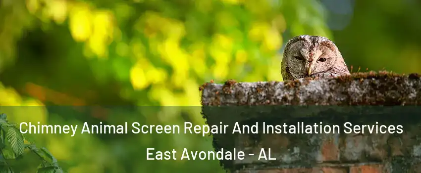 Chimney Animal Screen Repair And Installation Services East Avondale - AL