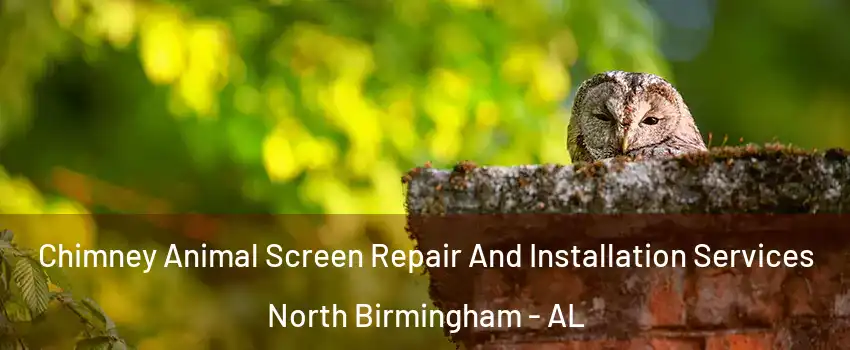 Chimney Animal Screen Repair And Installation Services North Birmingham - AL