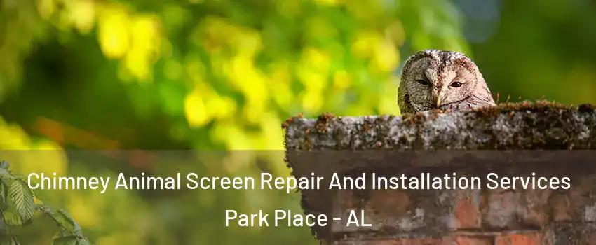 Chimney Animal Screen Repair And Installation Services Park Place - AL