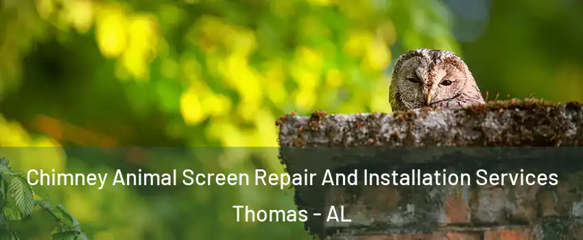 Chimney Animal Screen Repair And Installation Services Thomas - AL