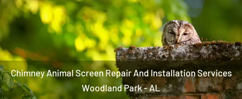 Chimney Animal Screen Repair And Installation Services Woodland Park - AL