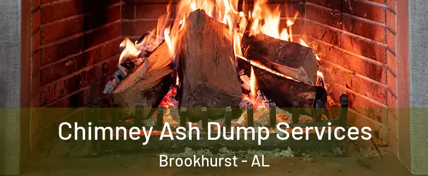 Chimney Ash Dump Services Brookhurst - AL