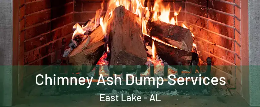 Chimney Ash Dump Services East Lake - AL