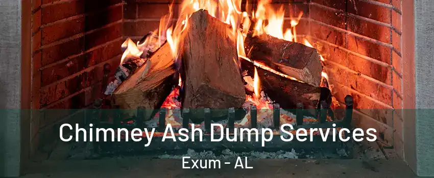 Chimney Ash Dump Services Exum - AL