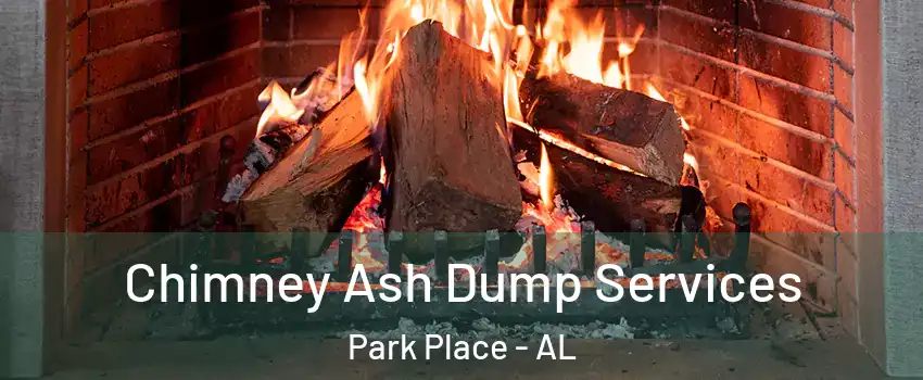 Chimney Ash Dump Services Park Place - AL