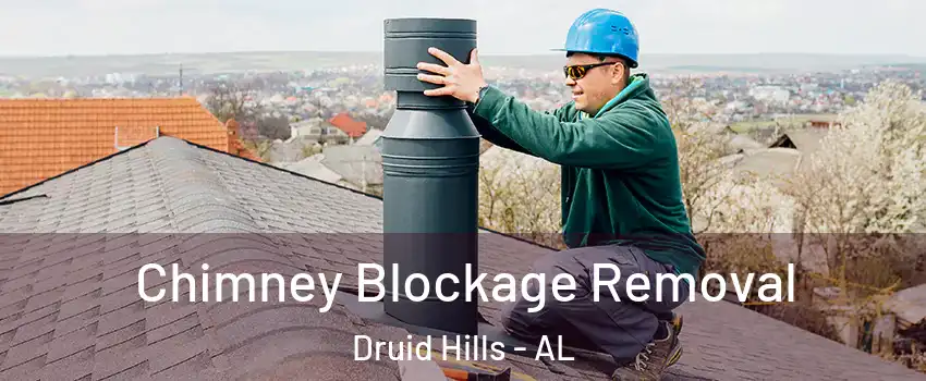 Chimney Blockage Removal Druid Hills - AL