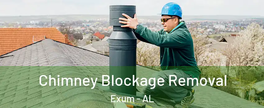 Chimney Blockage Removal Exum - AL