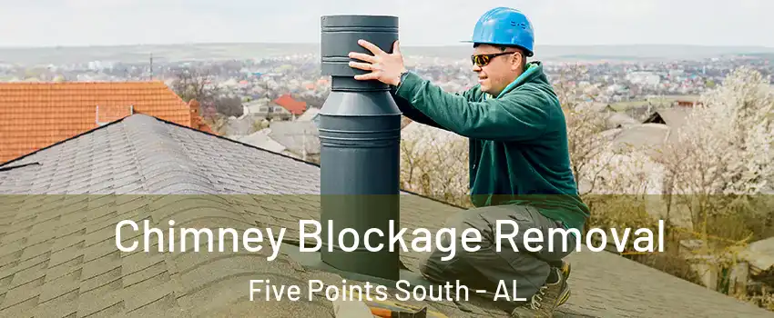 Chimney Blockage Removal Five Points South - AL