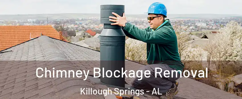 Chimney Blockage Removal Killough Springs - AL