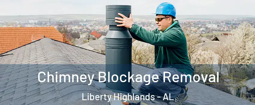 Chimney Blockage Removal Liberty Highlands - AL