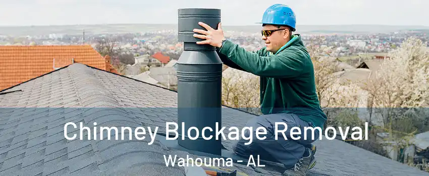 Chimney Blockage Removal Wahouma - AL