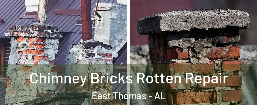 Chimney Bricks Rotten Repair East Thomas - AL