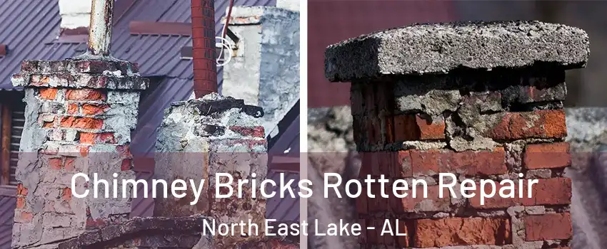 Chimney Bricks Rotten Repair North East Lake - AL