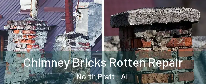 Chimney Bricks Rotten Repair North Pratt - AL