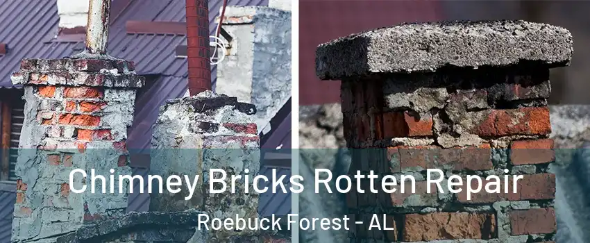 Chimney Bricks Rotten Repair Roebuck Forest - AL