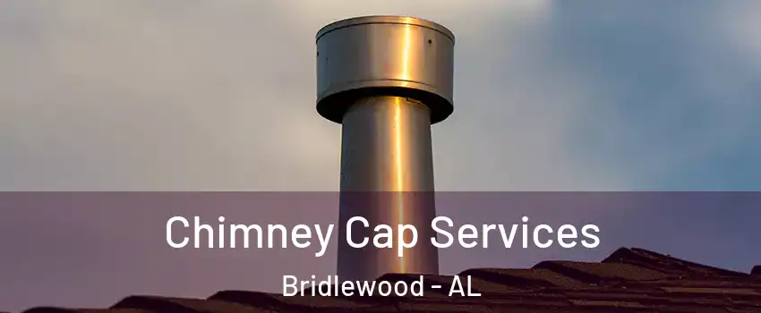 Chimney Cap Services Bridlewood - AL