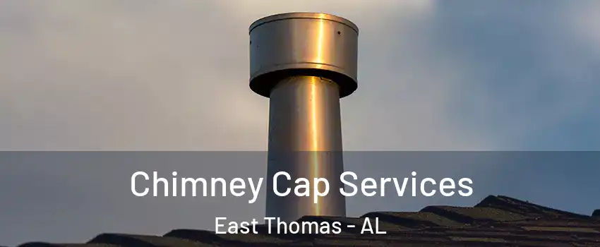 Chimney Cap Services East Thomas - AL