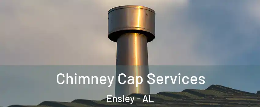 Chimney Cap Services Ensley - AL