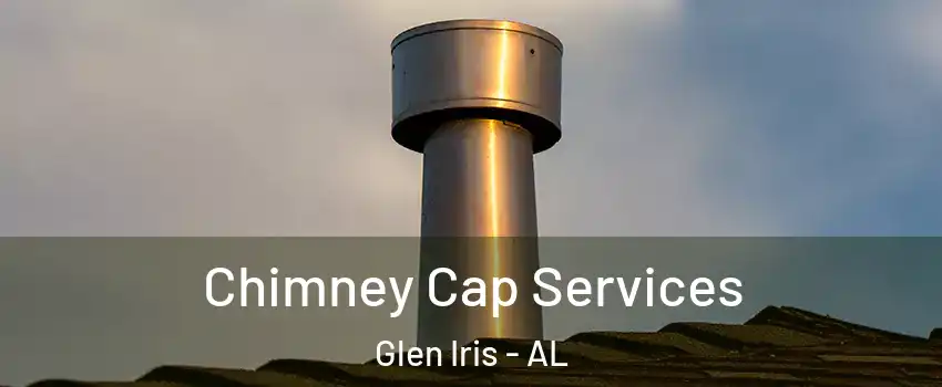 Chimney Cap Services Glen Iris - AL